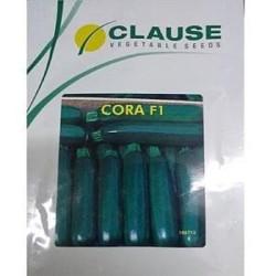 CORA F-1 GREEN ZUCCHINI-100 Seed