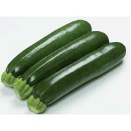 CORA F-1 GREEN ZUCCHINI-100 Seed