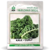 NS KALE CURLY-10g