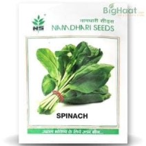 NS 1466 SPINACH-10gm