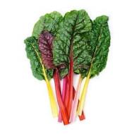 SWISS CHARD MULTI COLOR SEEDS-12