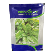 Spinach Greener - Gennext seeds 10gm