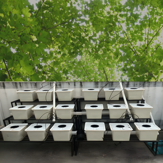 18 Bucket Step Up Dutch Bucket System for Hydroponic Farming