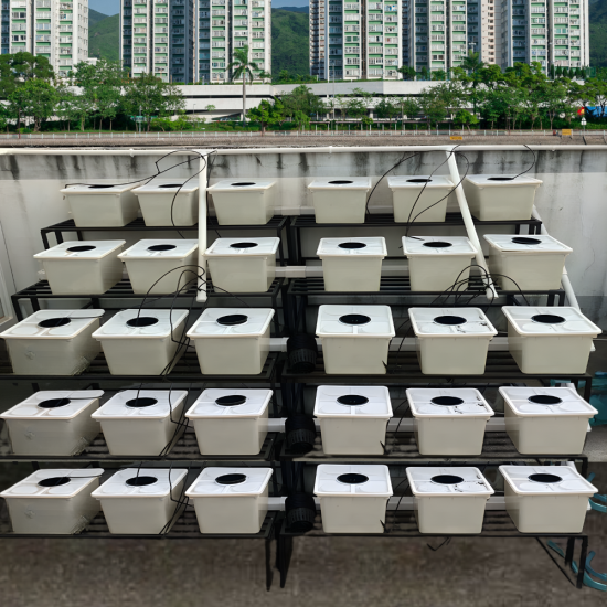 30 Bucket Step Up Dutch Bucket System for Hydroponic Farming