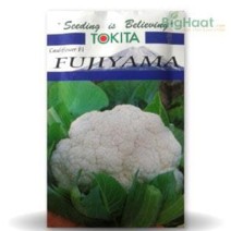 Fujiyama Cauliflower (Tokita Seeds)
