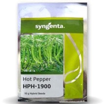 HPH 1900 Hot pepper (Syngenta)