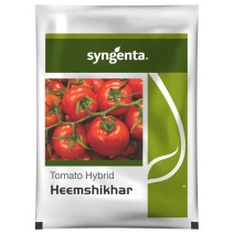 Heemshikhar Tomato (Syngenta)