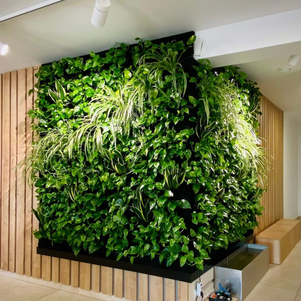 Vertical Hydroponic Wall System | Indoor & Outdoor Green Wall Gardening ...