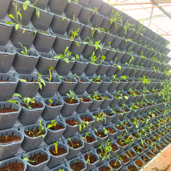 Vertical Hydroponics Wall Garden – Indoor & Outdoor Living Green Wall System | Modular Easy-Install Panels for Home, Balcony, Office & Café