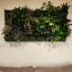 Vertical Hydroponics Wall Garden – Indoor & Outdoor Living Green Wall System | Modular Easy-Install Panels for Home, Balcony, Office & Café