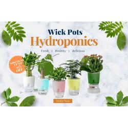 wick hydroponiics pot